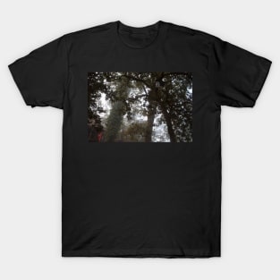 Through the Mist T-Shirt